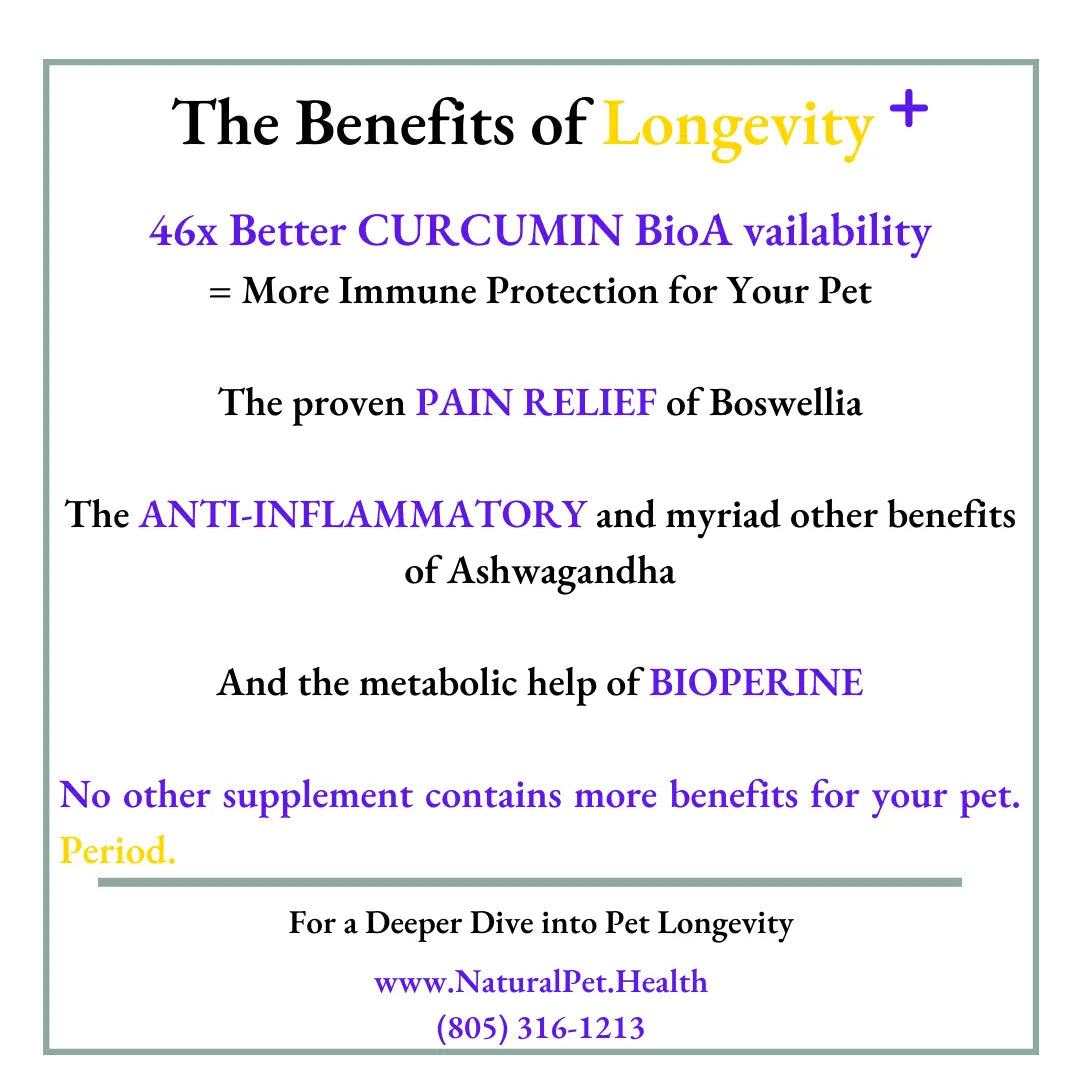 LONGEVITY PLUS-- The ONE supplement every pet should get.