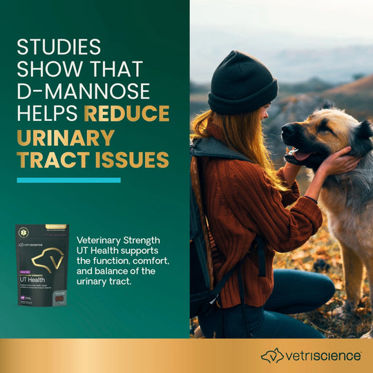 Veterinary Strength UT Health for Dogs