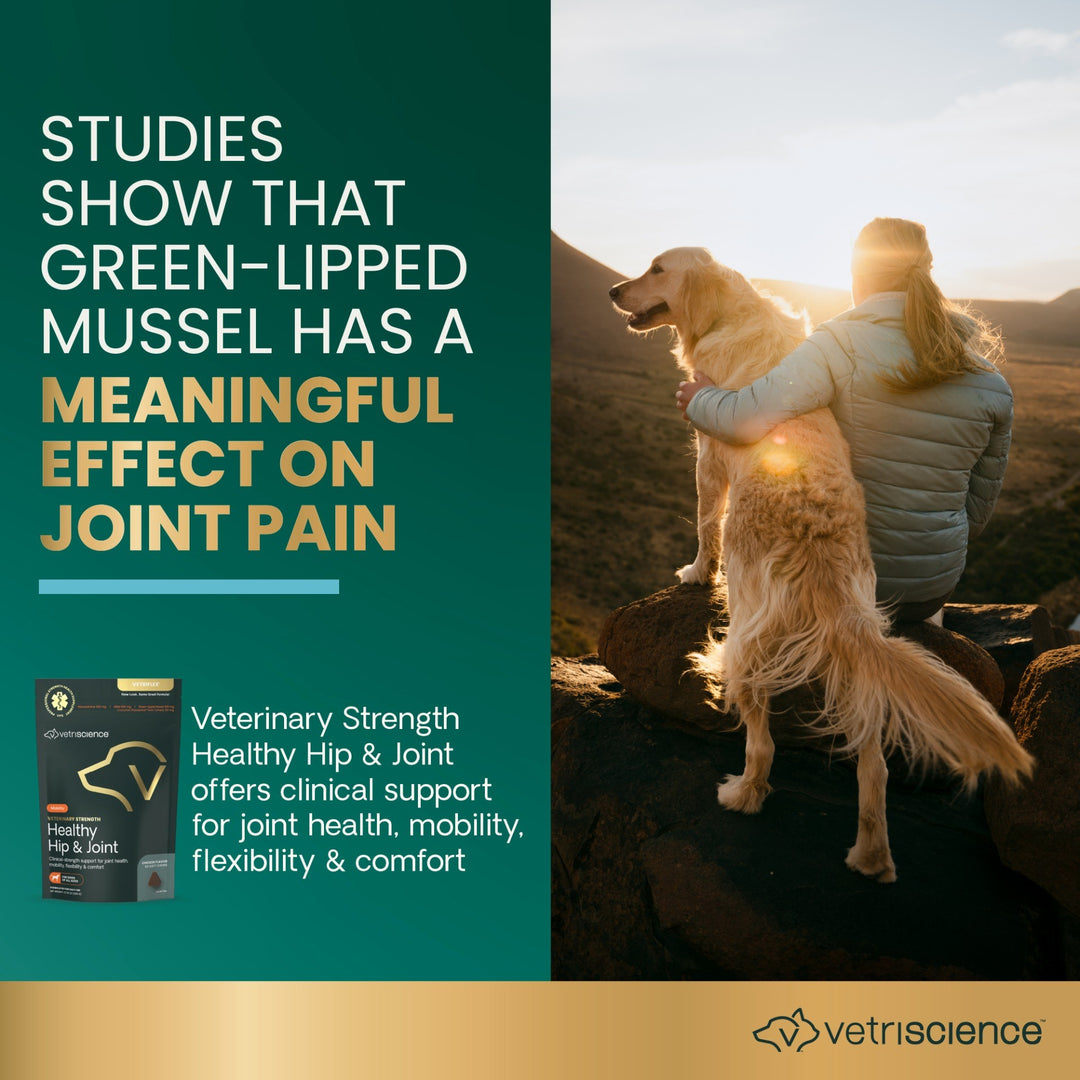 Veterinary Strength Healthy Hip & Joint for Dogs
