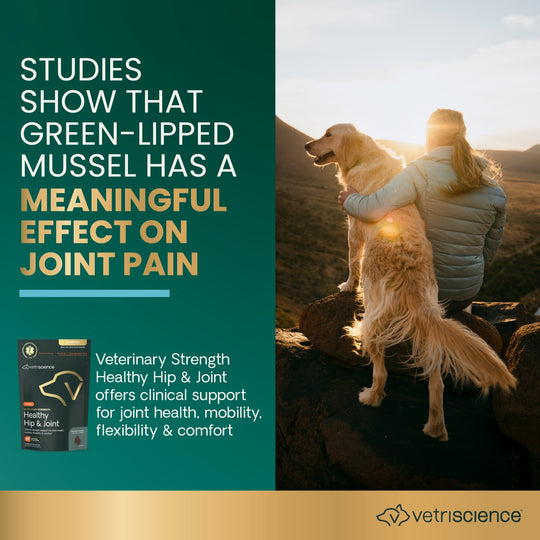 Veterinary Strength Healthy Hip & Joint for Dogs