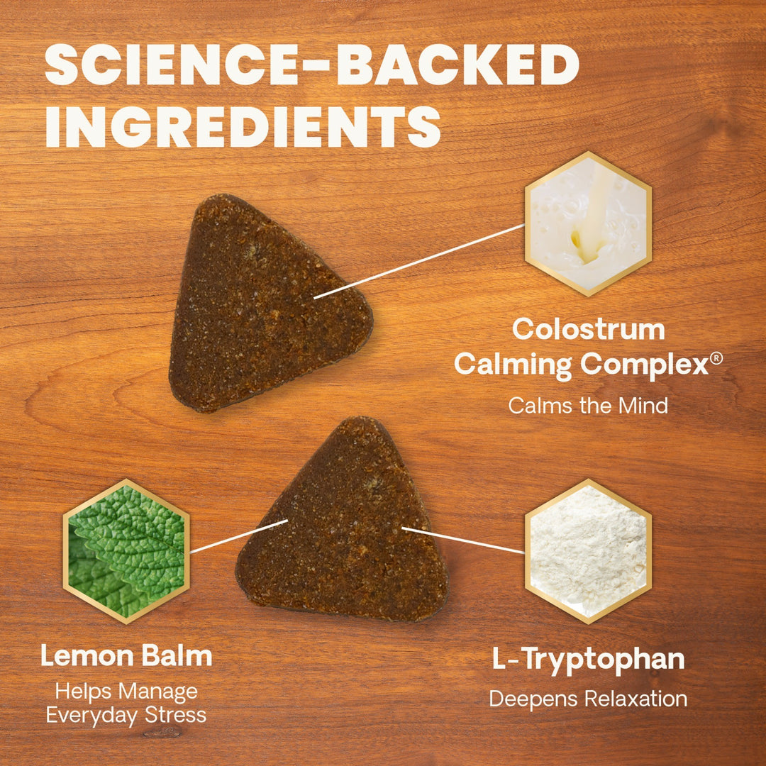 Max Veterinary Strength Calm & Confident for Dogs & Cats