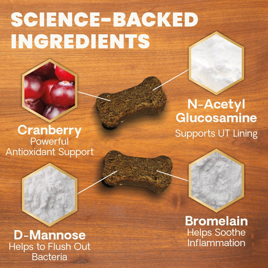 Veterinary Strength UT Health for Dogs