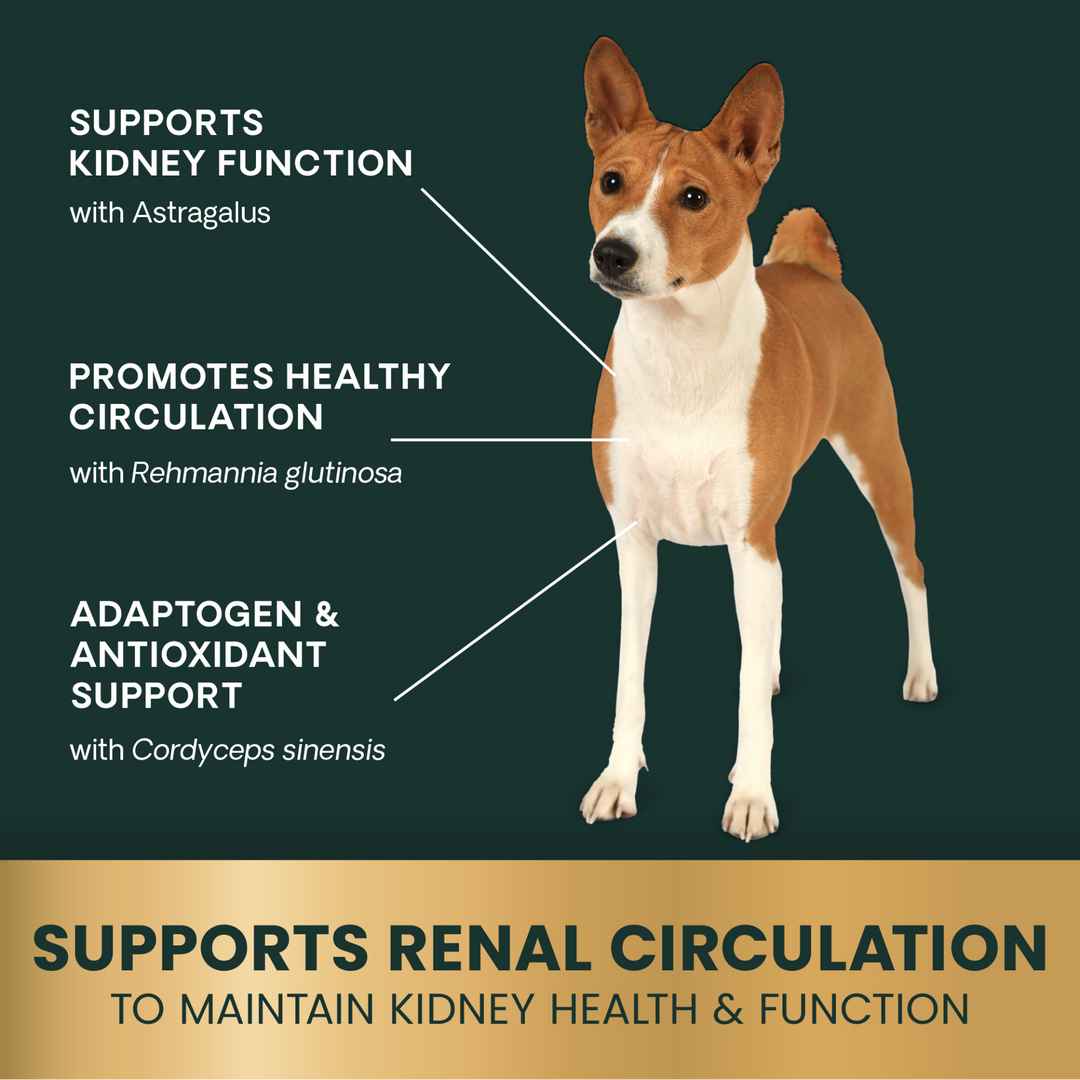 Veterinary Strength Kidney Health for Dogs & Cats