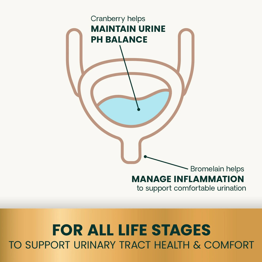 Veterinary Strength UT Health for Dogs