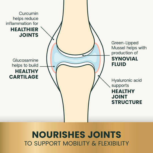 Veterinary Strength Healthy Hip & Joint for Dogs