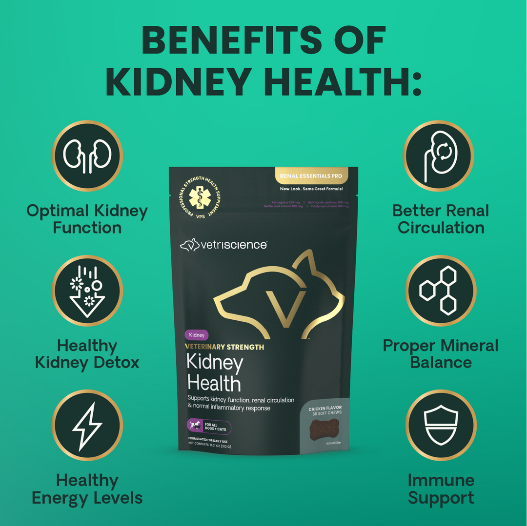 Veterinary Strength Kidney Health for Dogs & Cats