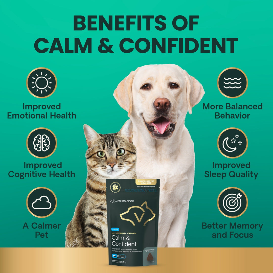 Max Veterinary Strength Calm & Confident for Dogs & Cats
