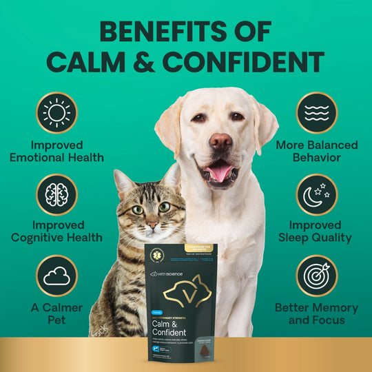 Max Veterinary Strength Calm & Confident for Dogs & Cats