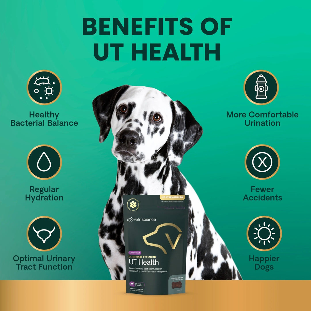 Veterinary Strength UT Health for Dogs