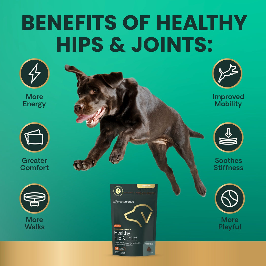 Veterinary Strength Healthy Hip & Joint for Dogs