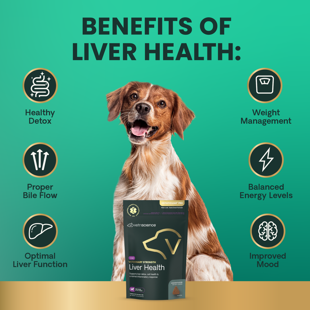 Veterinary Strength Liver Health for Dogs