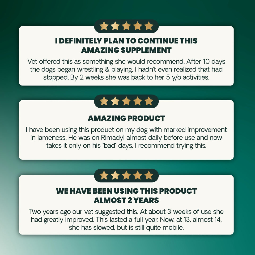 Veterinary Strength Healthy Hip & Joint for Dogs