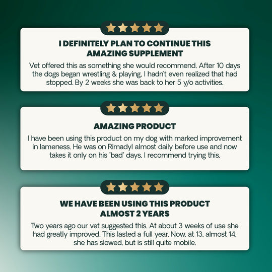 Veterinary Strength Healthy Hip & Joint for Dogs