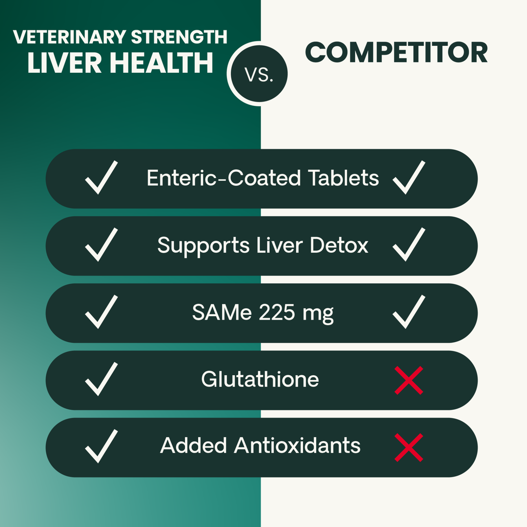 Veterinary Strength Liver Health for Dogs