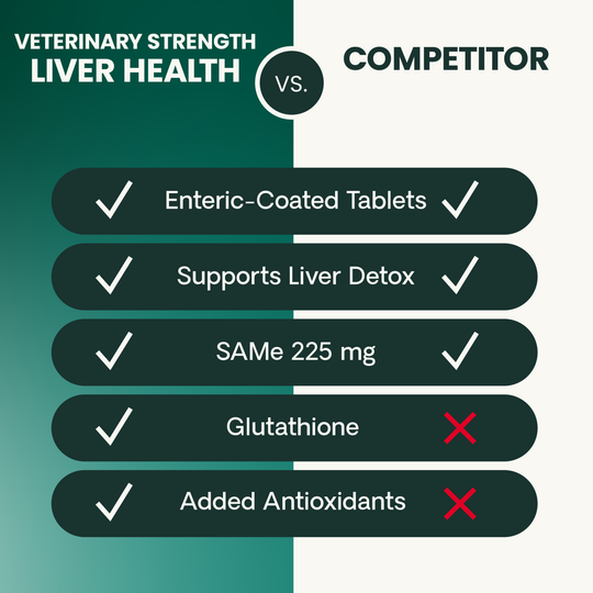 Veterinary Strength Liver Health for Dogs