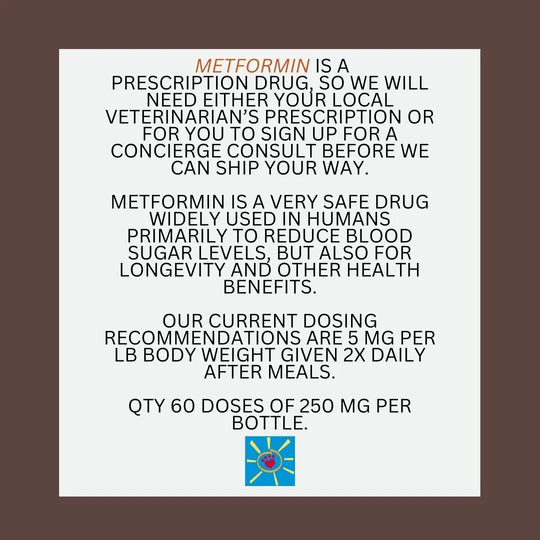 Metformin for Dogs