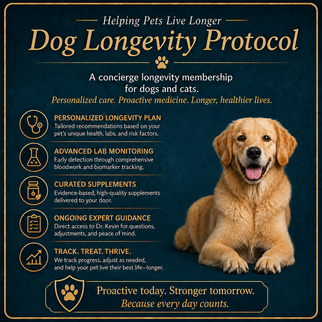 Join The Dog Longevity Protocol