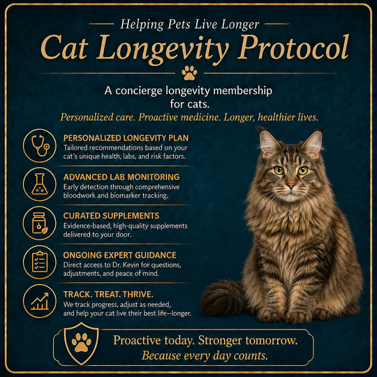 Join The Cat Longevity Protocol