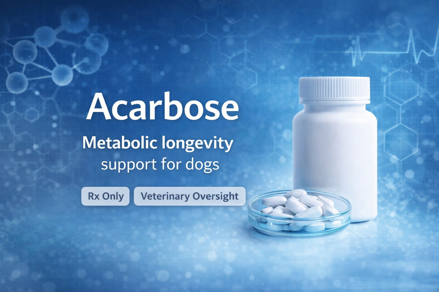 ACARBOSE FOR DOGS -- Metabolic Longevity Therapy