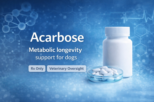 ACARBOSE FOR DOGS -- Metabolic Longevity Therapy