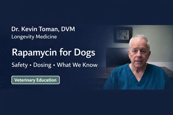 RAPAMYCIN  FOR DOGS -- Canine Longevity Therapy