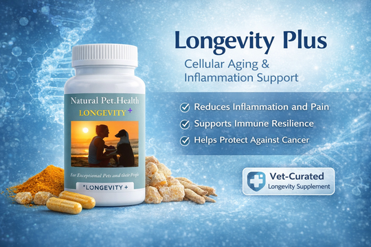 LONGEVITY PLUS-- The ONE Supplement EVERY Dog Needs.
