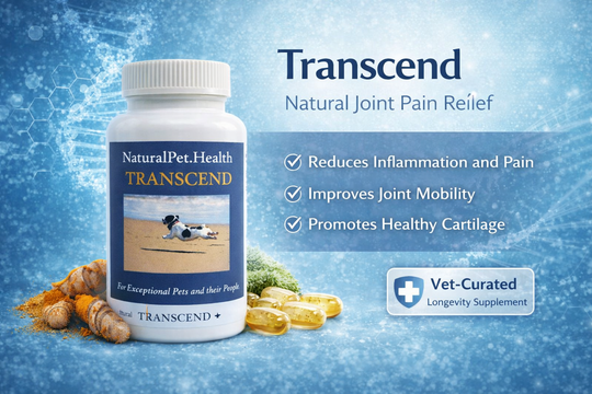 TRANSCEND -- The Joint Supplement That Actually Works