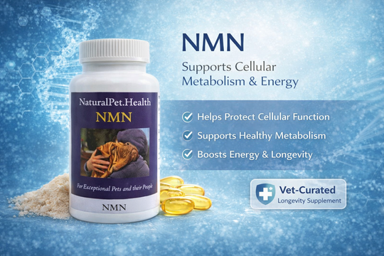 NMN FOR PETS -- Boost Your Pet's Cellular Energy.