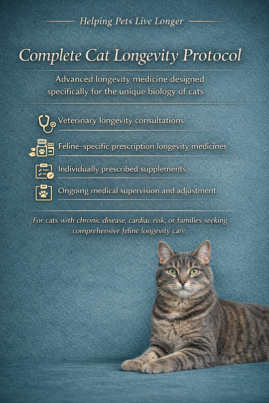 THE COMPLETE CAT LONGEVITY PROTOCOL