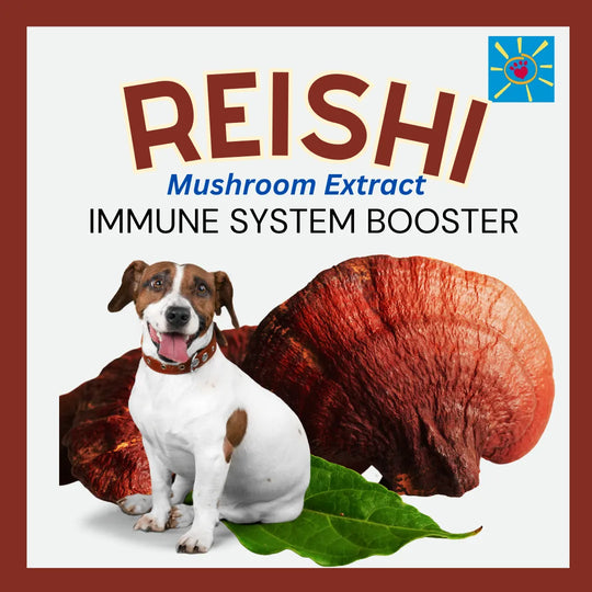 REISHI MUSHROOM EXTRACT FOR PETS
