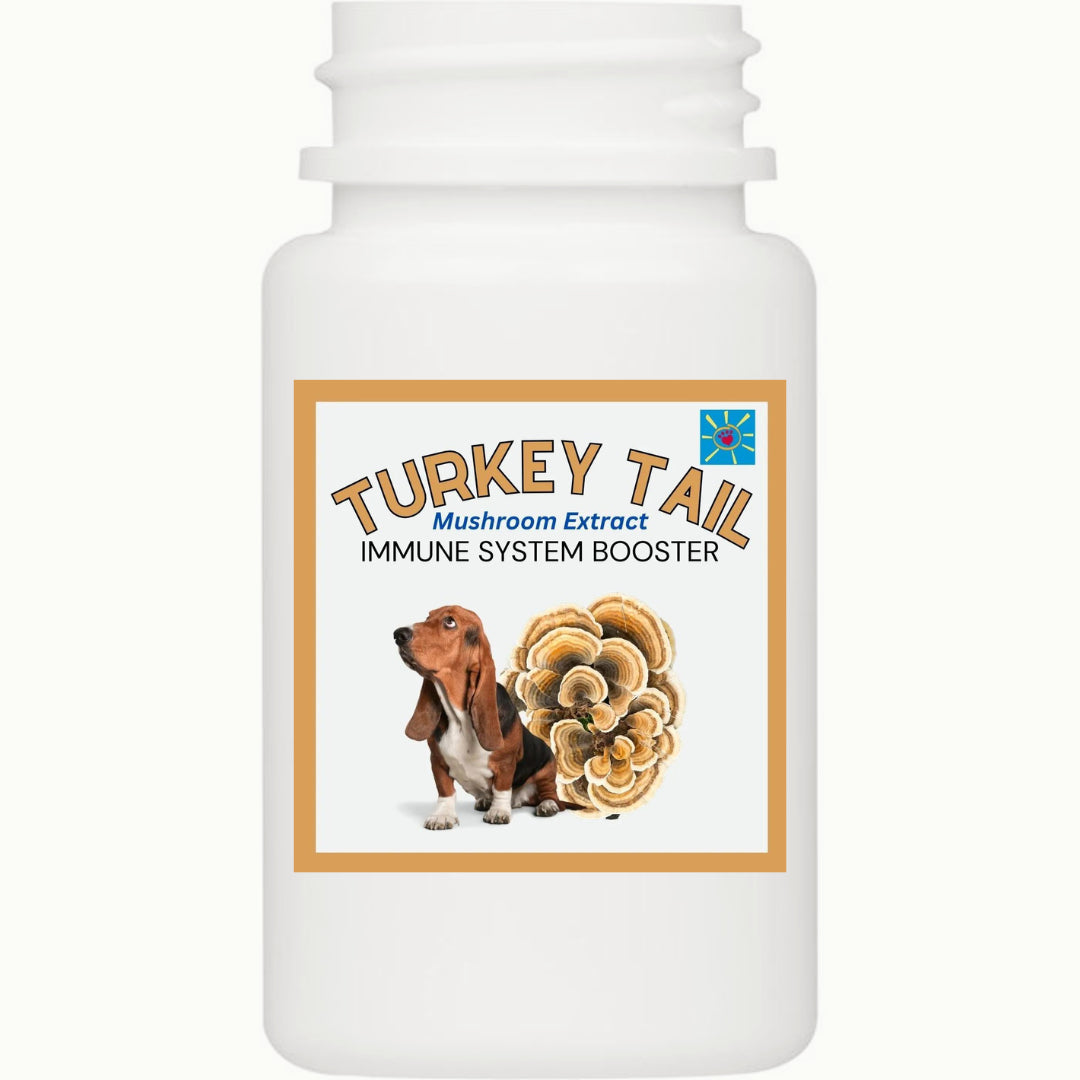 TURKEY TAIL MUSHROOM  FOR PETS