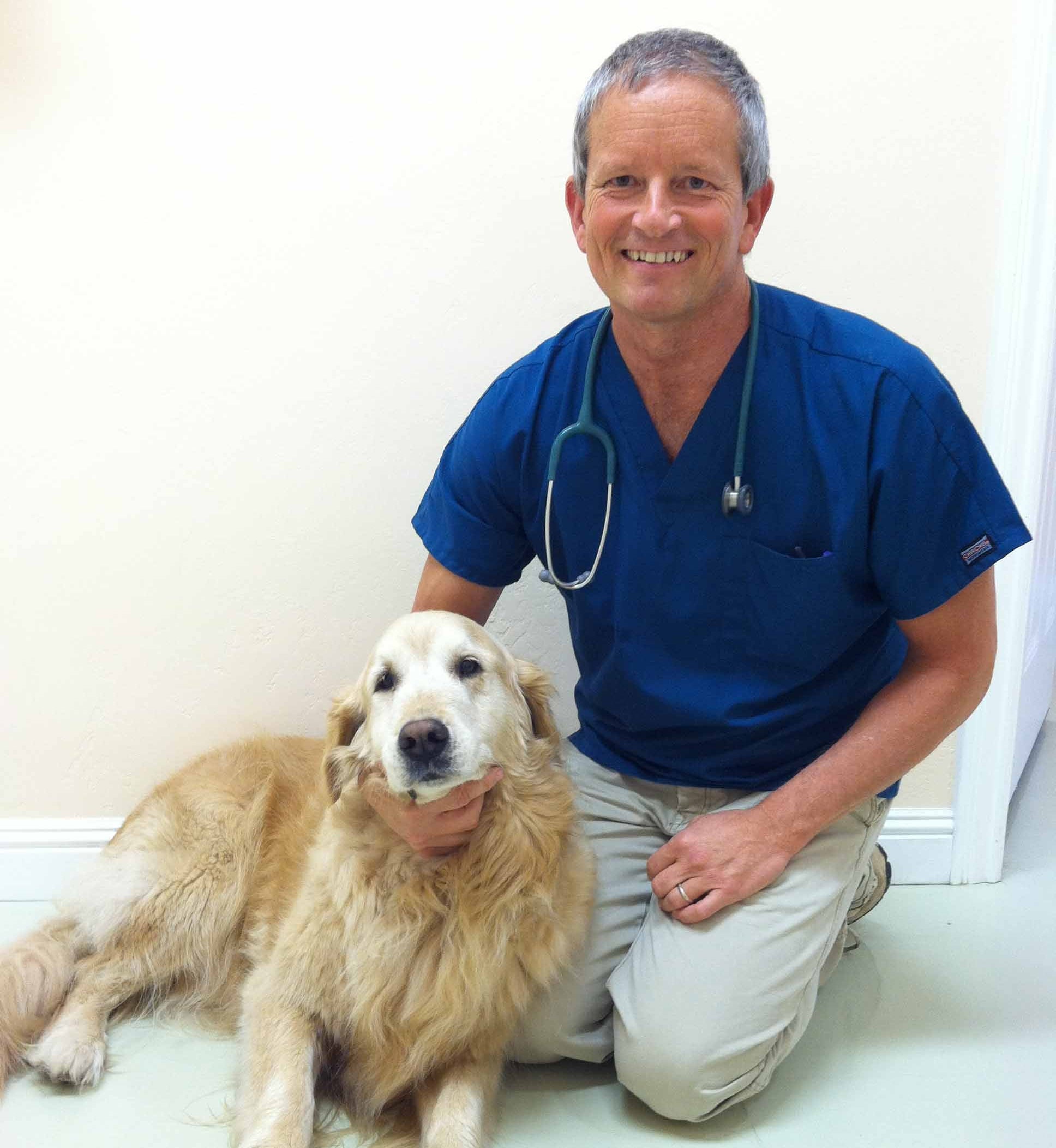 PET LONGEVITY STRATEGY SESSIONS