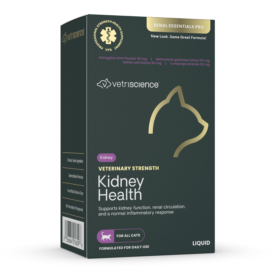 Veterinary Strength Kidney Health Liquid for Cats